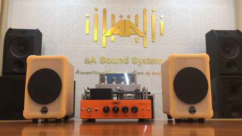 博元電聲 音樂(lè)愛(ài)好者的第一套專(zhuān)業(yè)音響