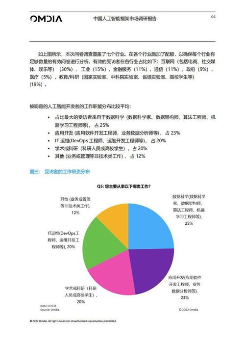 30頁 中國人工智能框架市場調研報告